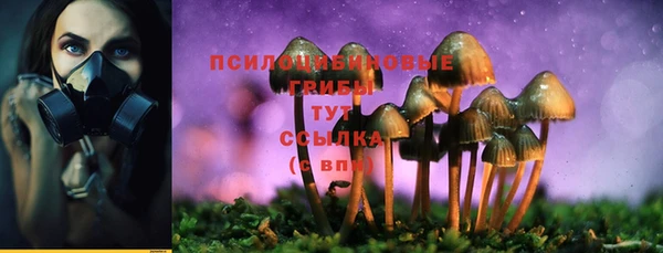 каннабис Богородицк