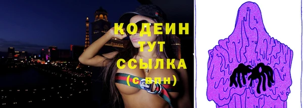 индика Медногорск