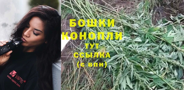таблы Богородск
