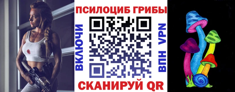 Галлюциногенные грибы Psilocybine cubensis  Гатчина 