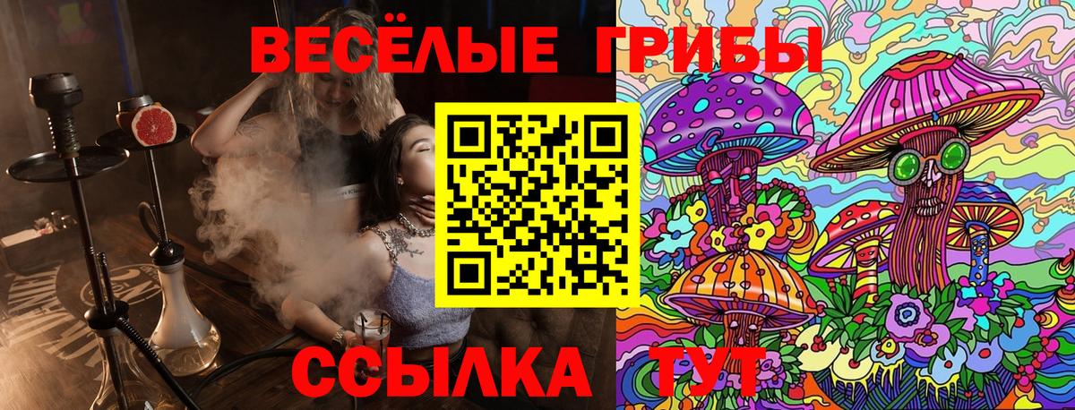 Псилоцибиновые грибы GOLDEN TEACHER  Вход с VPN  Гатчина  Галлюциногенные грибы ЛСД 