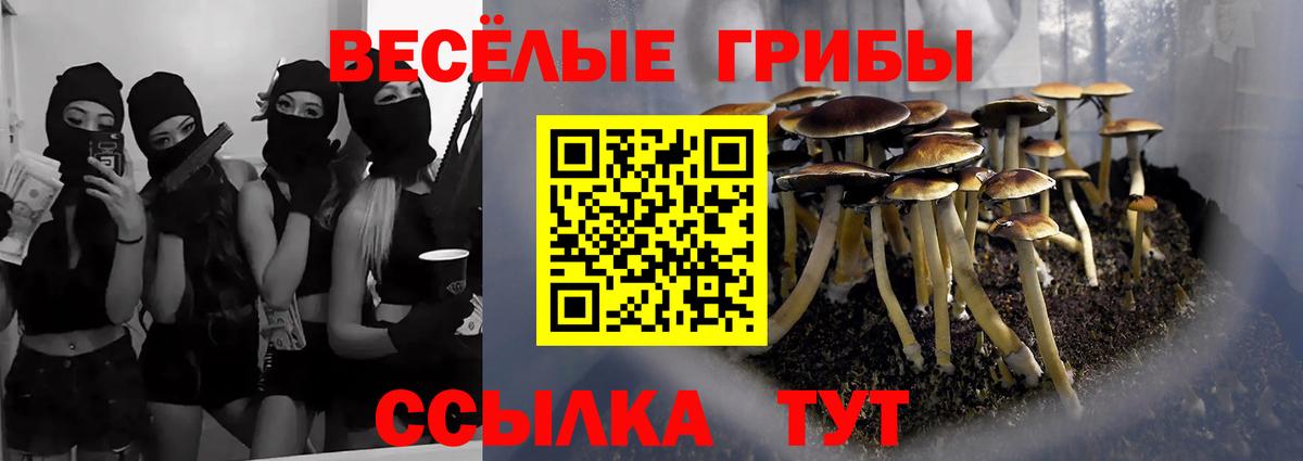 Галлюциногенные грибы мухоморы Гатчина